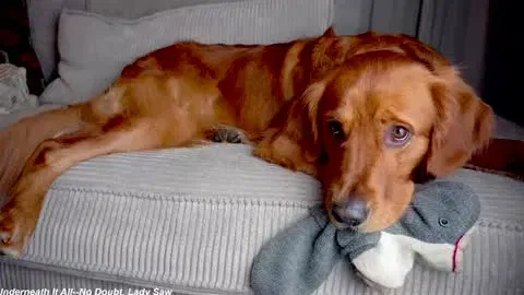 x_lily_x thumbnails 09.10.25 - 01:08 AM, archivebate.com