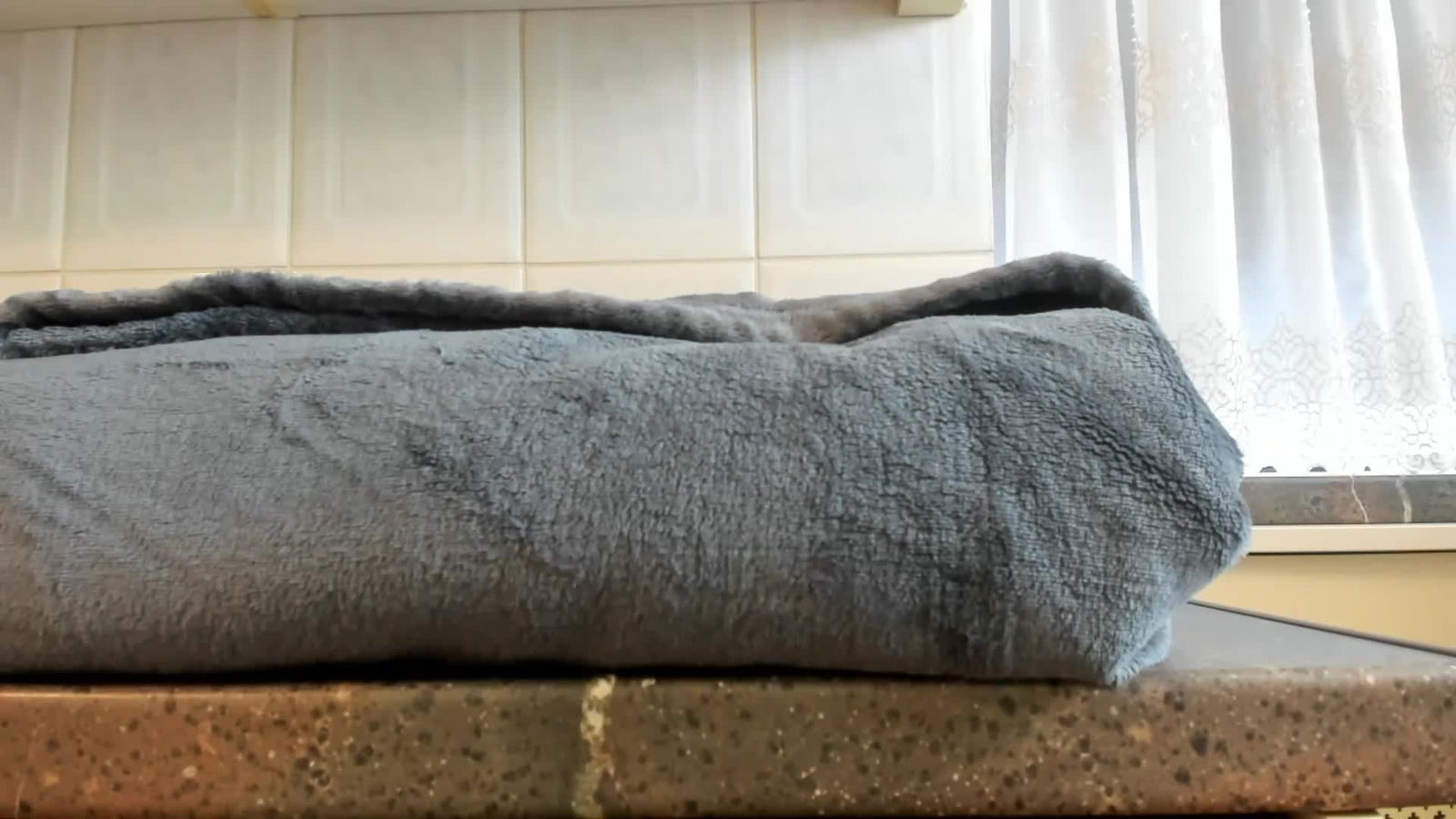 tunderose Profile picture ~ LiveLivecamsrip