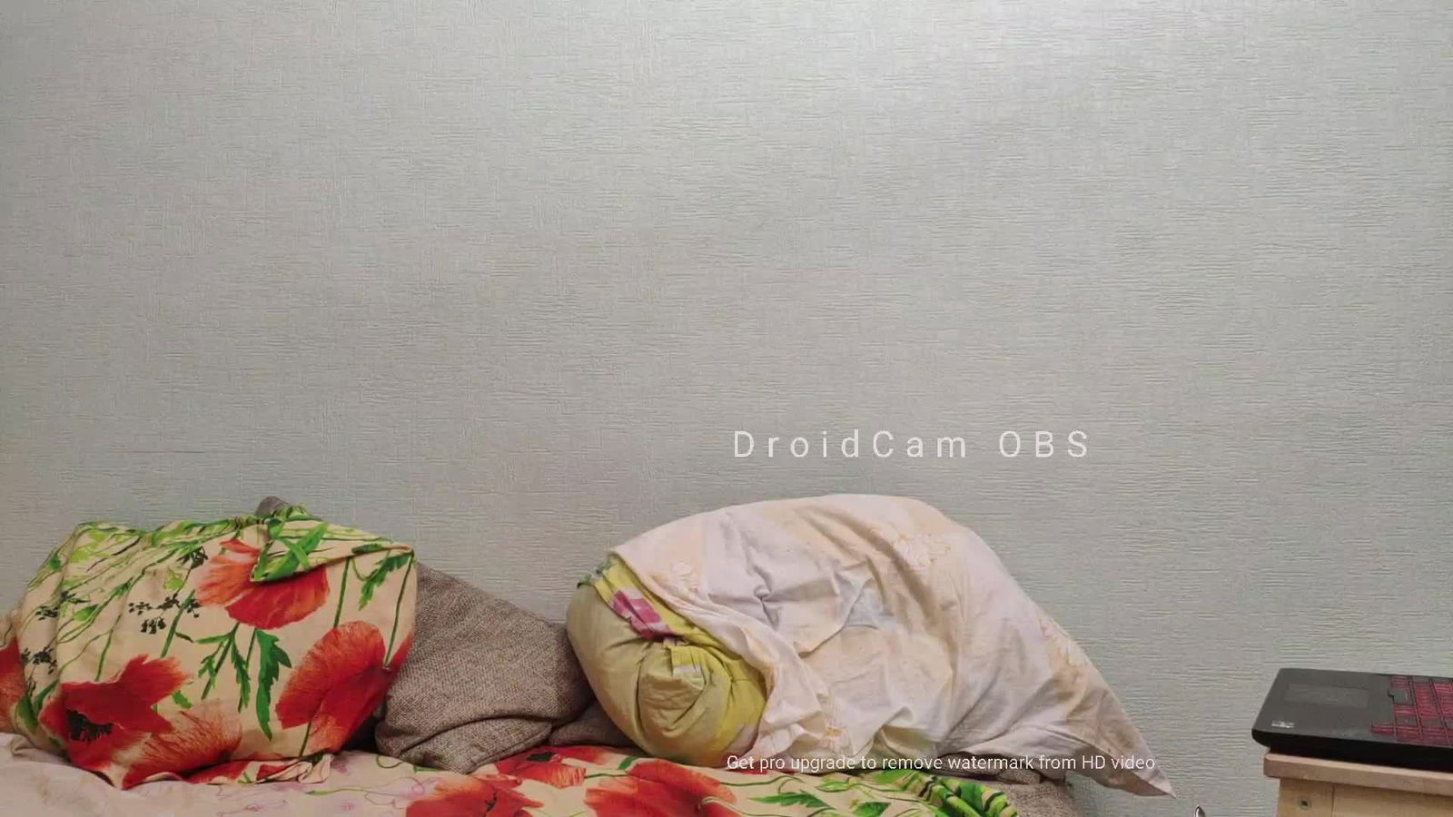 theloney_ Profile picture ~ LiveLivecamsrip