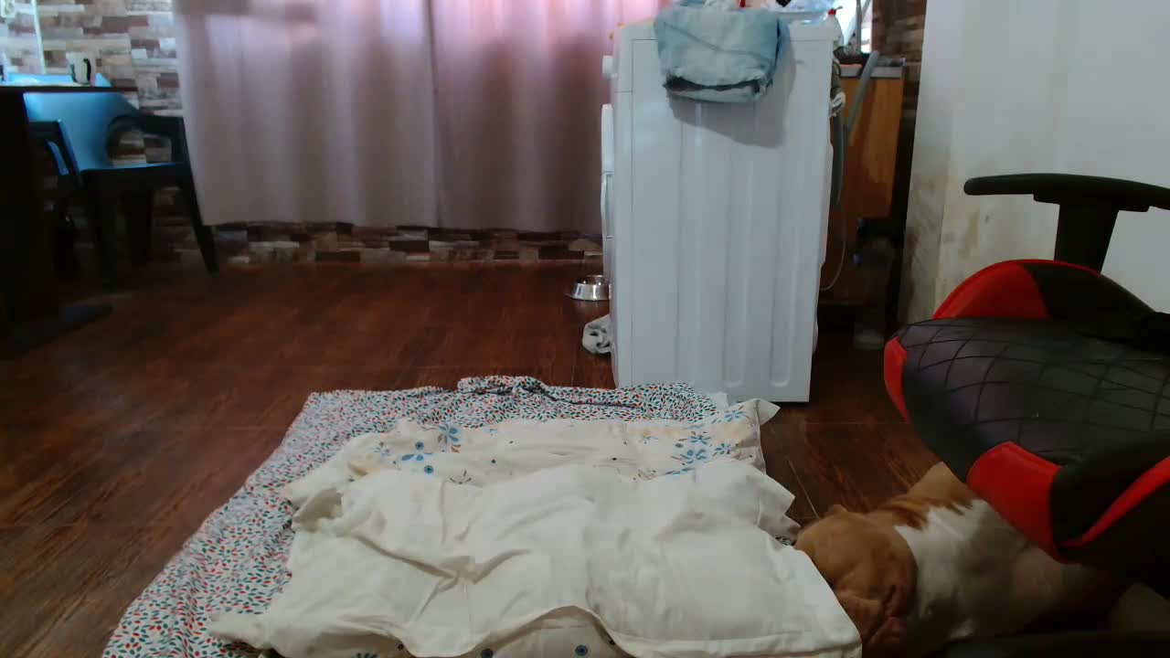 angelicbabexxx Chaturbate recording at 2022-08-06 11:33:00