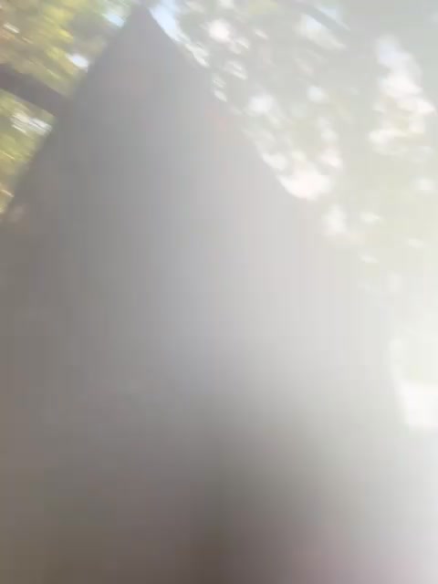 lic177 Profile picture ~ LiveLivecamsrip