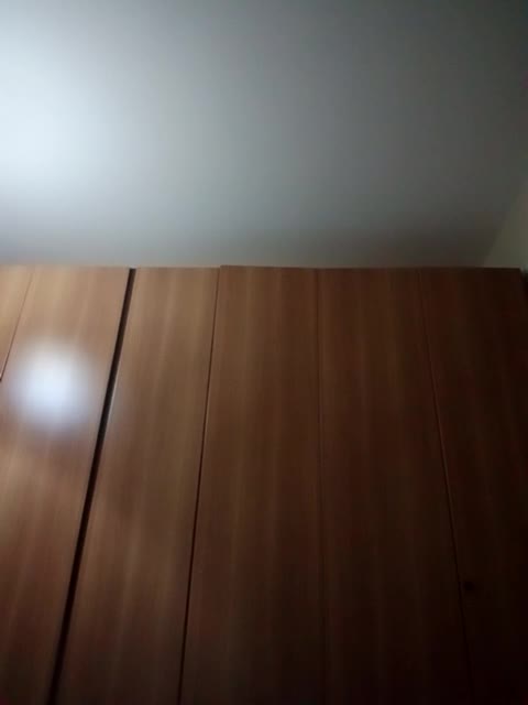 la_pantera_nera recording preview