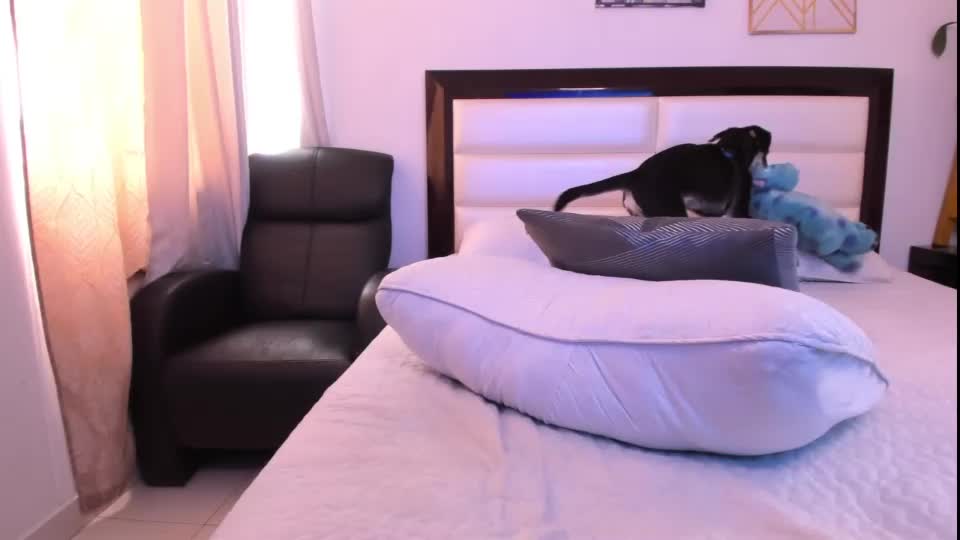 anasstaciass Chaturbate recorded on 2023-04-30 21:14:37 - SheWasLive