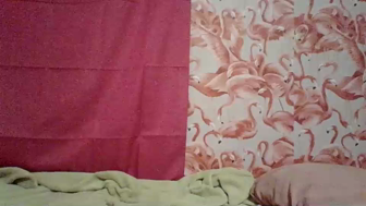 shelikessoymilk Chaturbate recording at 2023-07-03 05:16:00