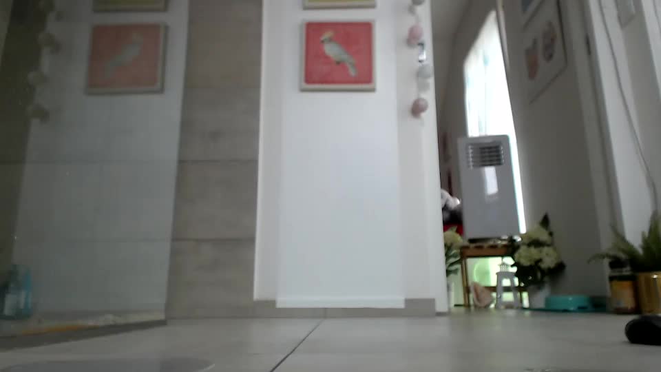 squirtmanica Chaturbate recording at 2023-07-30 12:23:00