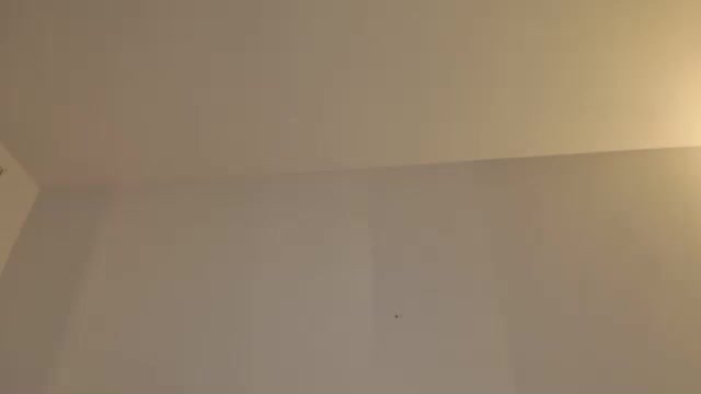 Cassy_cum Chaturbate recorded on 2023-08-16 00:49:00 - SheWasLive