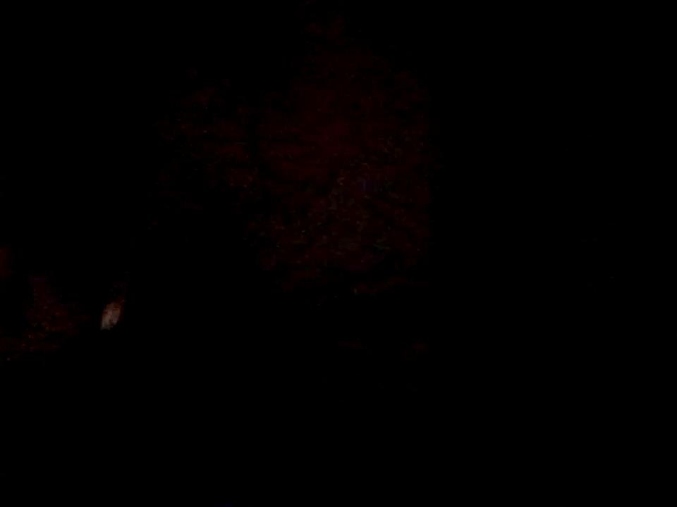 proxanne Stripchat recording at 2025-09-14 00:00:00