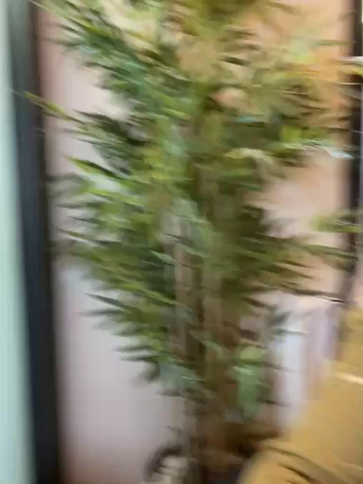 EmaSalis Stripchat recording at 2025-10-01 00:00:00