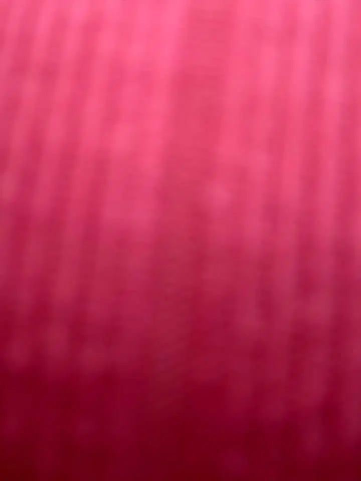 MessyNastyQueen Stripchat recording at 2025-10-02 00:00:00
