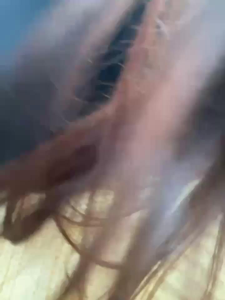 xixi_28 Stripchat recording at 2025-10-13 00:00:00